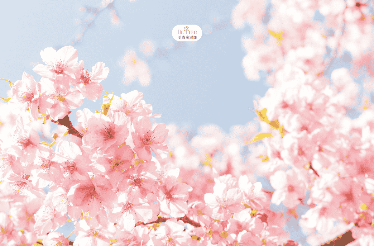 2025-qingming-festival